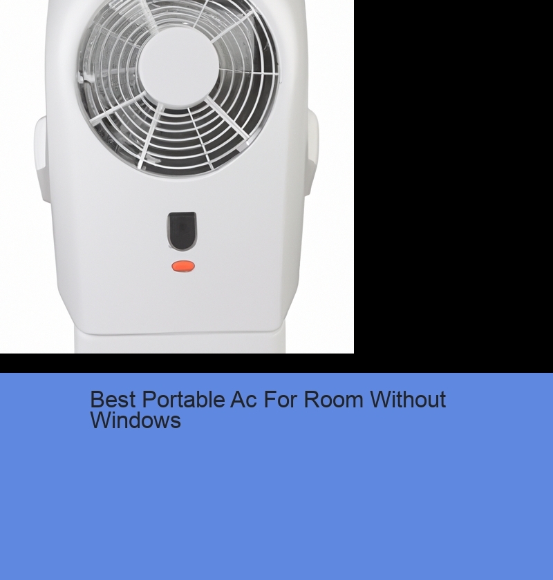 Best Portable Ac For Room Without Windows