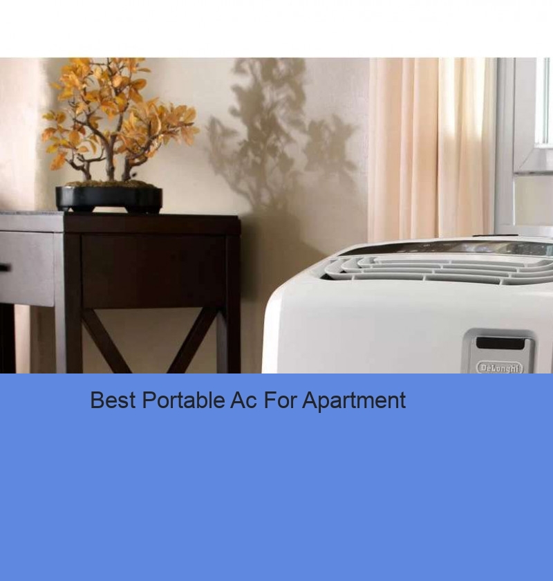 Best Portable Ac For Apartment