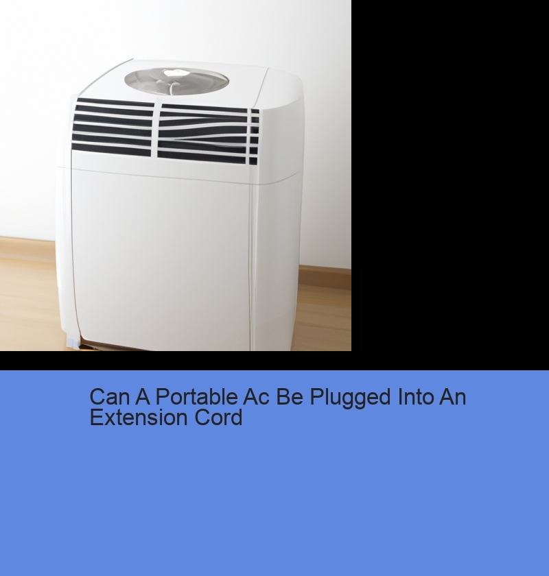 Can A Portable Ac Be Plugged Into An Extension Cord